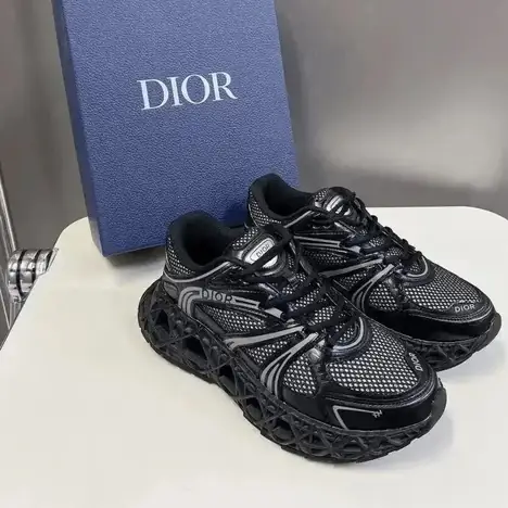 Dior B22