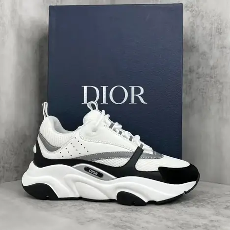 Dior B22