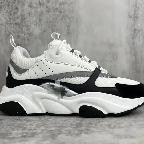 Dior B22