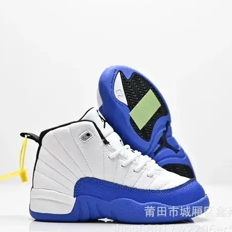 Air Jordan Basketball (21 colores)