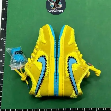 Dunk 2025 New